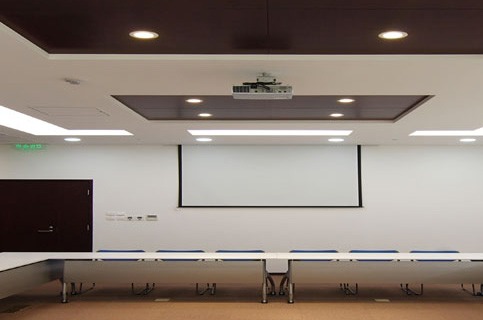 Projector System